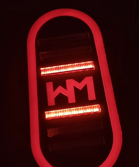 Custom Tail Lights for Ambassador | Unique HM LED Design by Alienor Customs